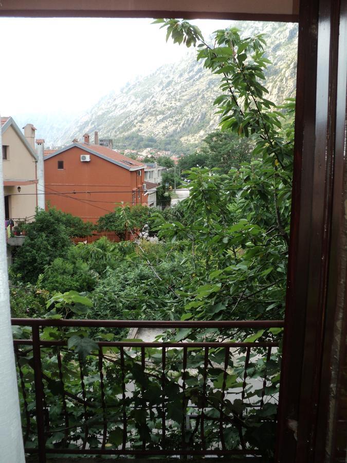 Apartments Skaljari Котор Екстер'єр фото